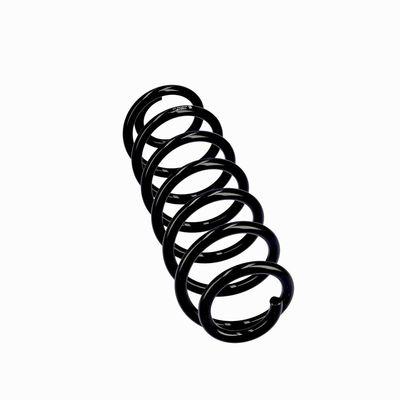 ARC SPIRAL EIBACH R10793 12