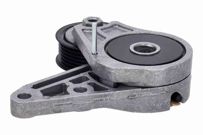 INTINZATOR CUREA CUREA DISTRIBUTIE