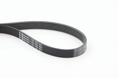 CONTINENTAL CTAM Keilrippenriemen