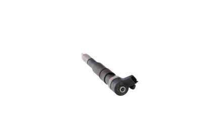 INJECTOR REMANTE 002003001174R 20