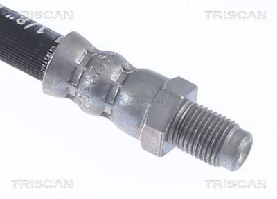 FURTUN FRANA TRISCAN 815025255 2