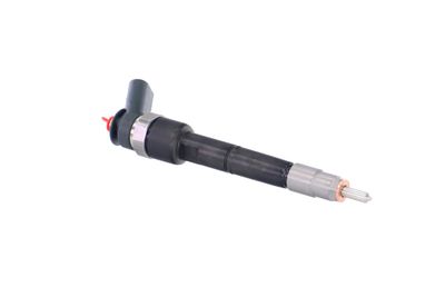 INJECTOR REMANTE 002003001040R 49