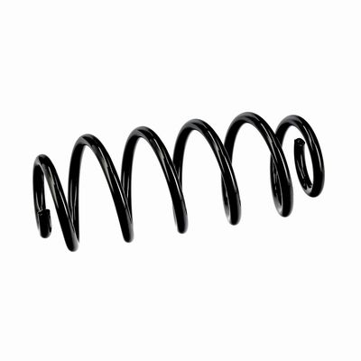 ARC SPIRAL EIBACH R10811 18