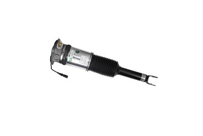 LUFTFEDERBEIN Arnott AS2958 65