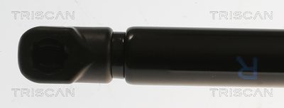 AMORTIZOR PORTBAGAJ TRISCAN 871082002 1