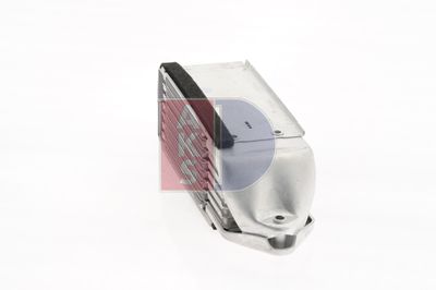 ÖLKüHLER MOTORöL AKS DASIS 046013N 11