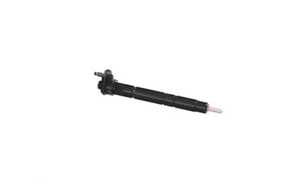 INJECTOR REMANTE 002003002284R 36