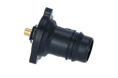 TERMOSTAT LICHID RACIRE NRF 725024 18