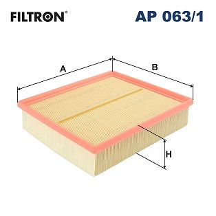 Luftfilter FILTRON AP 063/1