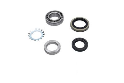 Kavo Parts Rato guolio komplektas