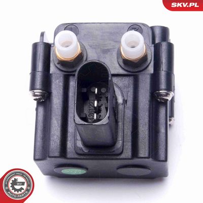 SUPAPA SISTEM SUPRAALIMENTARE ESEN SKV 93SKV813 3