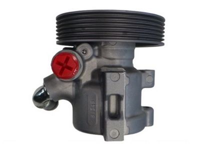 HYDRAULIKPUMPE LENKUNG SPIDAN 53961 2