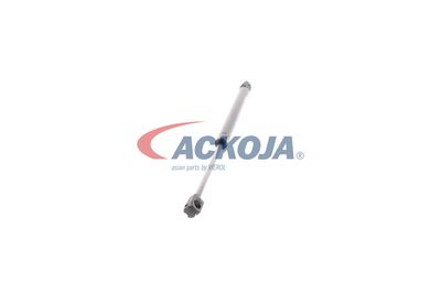 AMORTIZOR PORTBAGAJ ACKOJA A520112 26