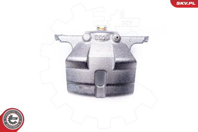 Brake Caliper 23SKV701