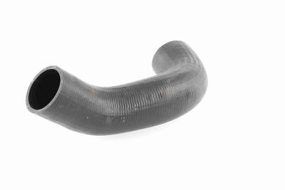 FURTUN EAR SUPRAALIMENTARE ACKOJA A380298 4