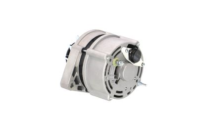 GENERATOR / ALTERNATOR REMANTE 011003000025R 24