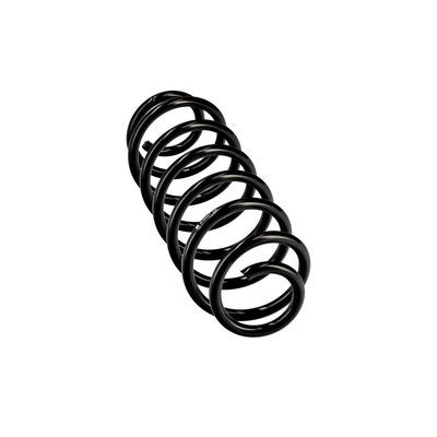 ARC SPIRAL EIBACH R10451 24