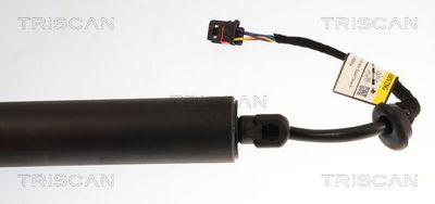TRISCAN - Vzpera kufra AUDI , 8710 29349