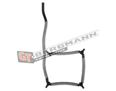 GT-BERGMANN Automotive Degalų žarna