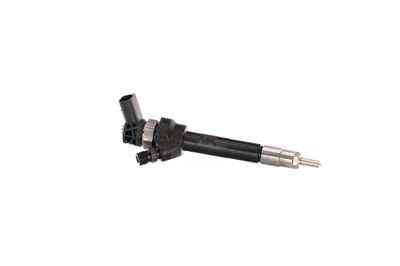 INJECTOR REMANTE 002003001754R 41