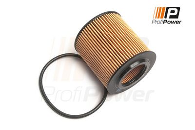 alyvos filtras 1F0160 ProfiPower