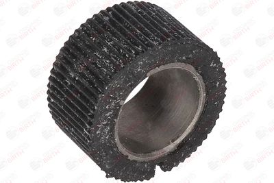 BUCSA ARBORE DE DIRECTIE BIRTH 4848 6