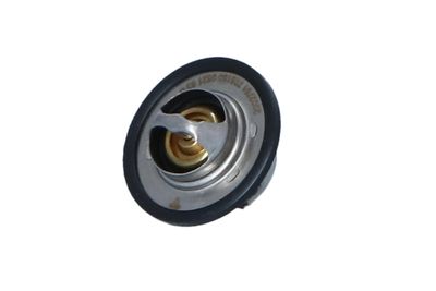 TERMOSTAT LICHID RACIRE NRF 725150 11