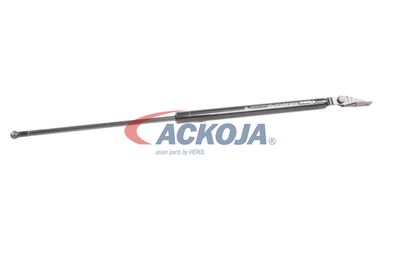 AMORTIZOR PORTBAGAJ ACKOJA A320092 35