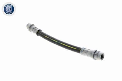 FURTUN FRANA VAICO V220625 6