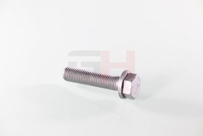 SURUB CAPAT DE AX GH GH391539 27