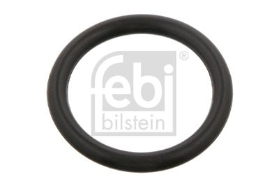 DICHTRING FEDERBUCHSE (FEDERAUGE)