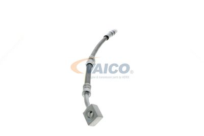 FURTUN FRANA VAICO V404110 53