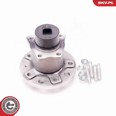 SET RULMENT ROATA ESEN SKV 29SKV018 1