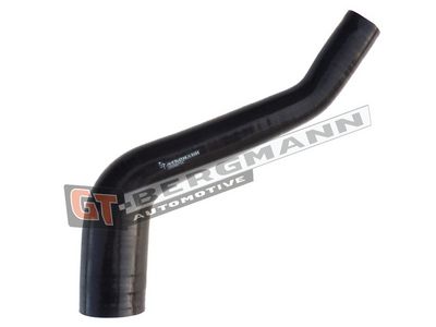 GT-BERGMANN Automotive Kompresoriaus padavimo žarna