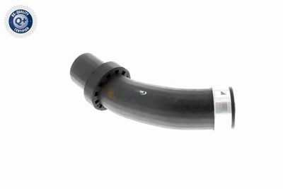 FURTUN EAR SUPRAALIMENTARE VAICO V201619 6