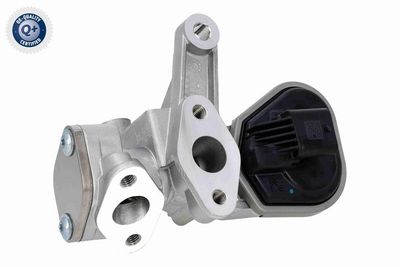 SUPAPA EGR ACKOJA A52630041 2