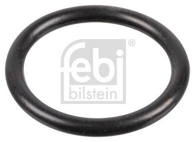 GARNITURA VANA ULEI CUTIE VITEZA AUTOMATA FEBI BILSTEIN 172220