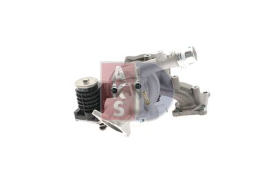 LADER AUFLADUNG AKS DASIS 565040N 3