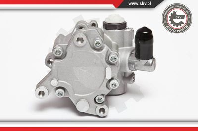 ESEN SKV 10SKV043 Рулевая рейка  для MERCEDES-BENZ M-CLASS (Мерседес М-класс)