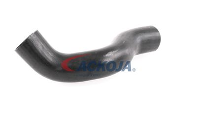 FURTUN EAR SUPRAALIMENTARE ACKOJA A380307 31