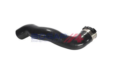FURTUN EAR SUPRAALIMENTARE BOGAP R1711164 2