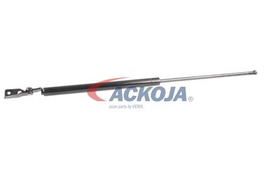 AMORTIZOR PORTBAGAJ ACKOJA A320092 59