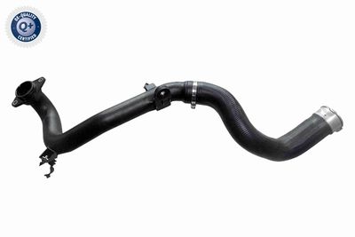 FURTUN EAR SUPRAALIMENTARE