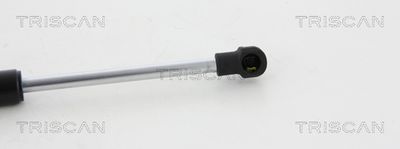 AMORTIZOR CAPOTA TRISCAN 871017103 2