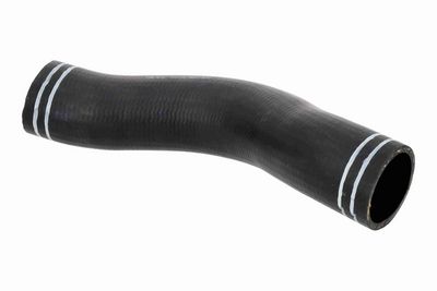 FURTUN EAR SUPRAALIMENTARE ACKOJA A380297 2