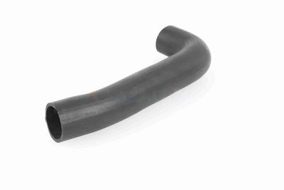 FURTUN EAR SUPRAALIMENTARE ACKOJA A379602 4