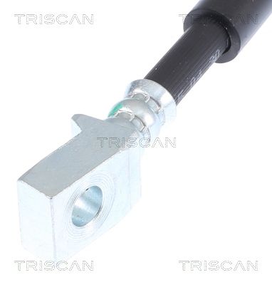 FURTUN FRANA TRISCAN 815080303 3
