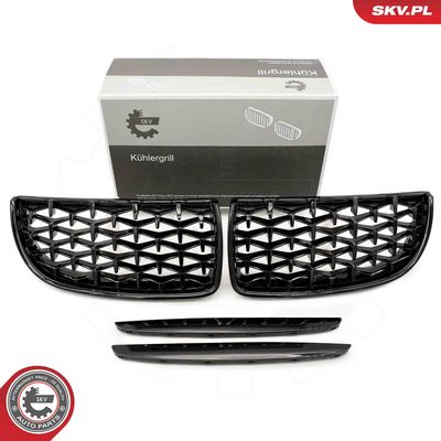 GRILA RADIATOR ESEN SKV 66SKV093 9