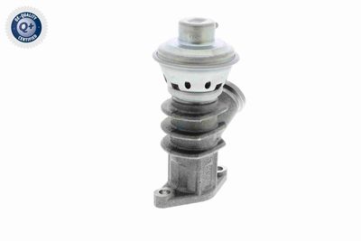 SUPAPA EGR VEMO V42630004 7