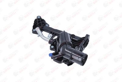 FLANSA LICHID RACIRE BIRTH 81085 3